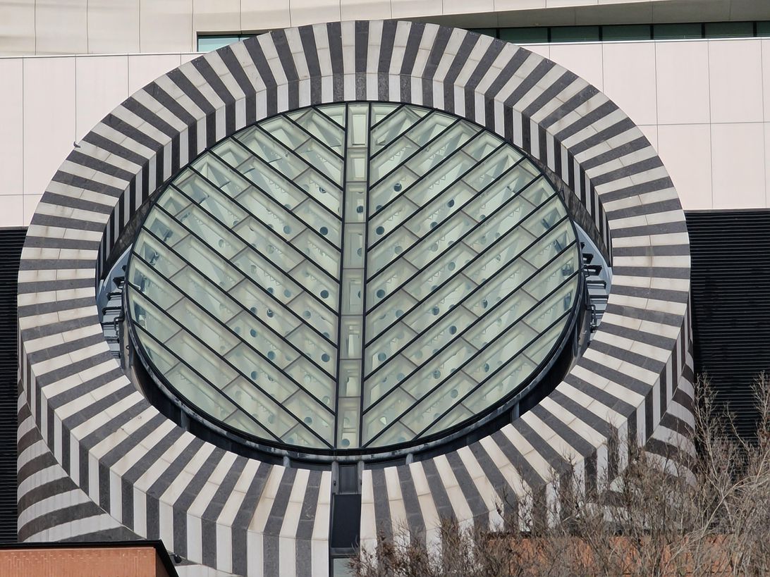 galaxys20ultra-moma-zoom10