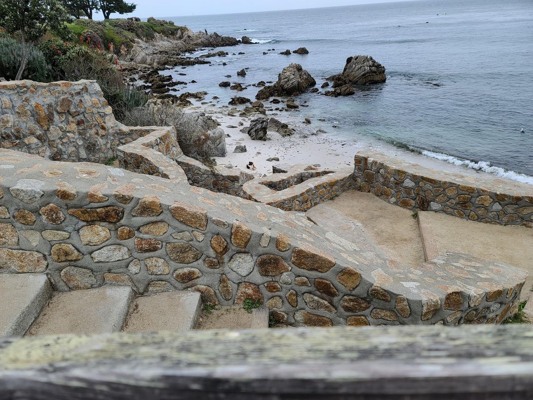 galaxys20ultracamera-dog-nozoom