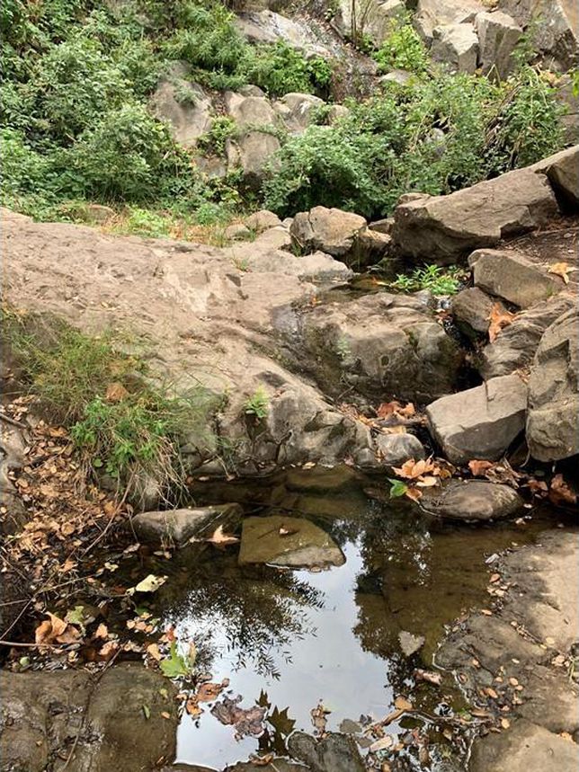 water-bottle-testing-site-1