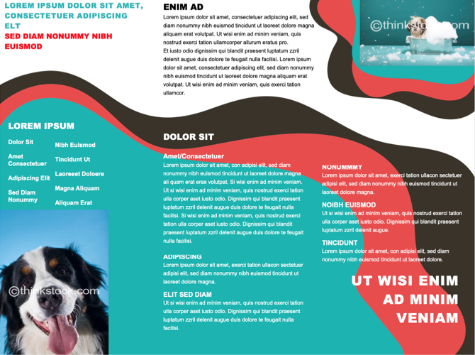 Pet Theme Brochure Template Word PFL