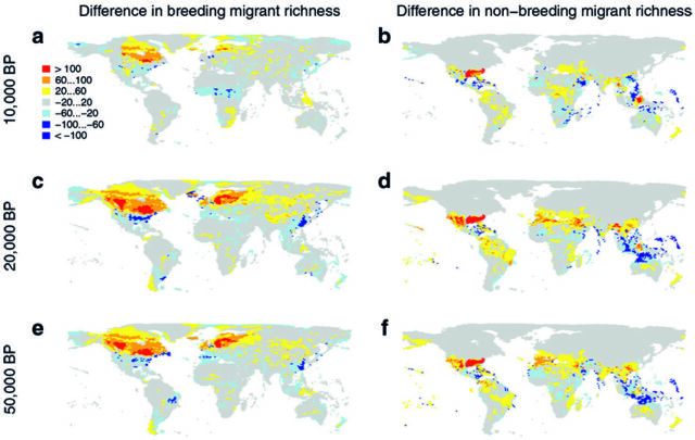Simulated changes in the number of species found in an area 10,000 years ago, 30,000 years ago, and 50,000 years ago. Red means fewer species than are found there today, blue means more species than today.
