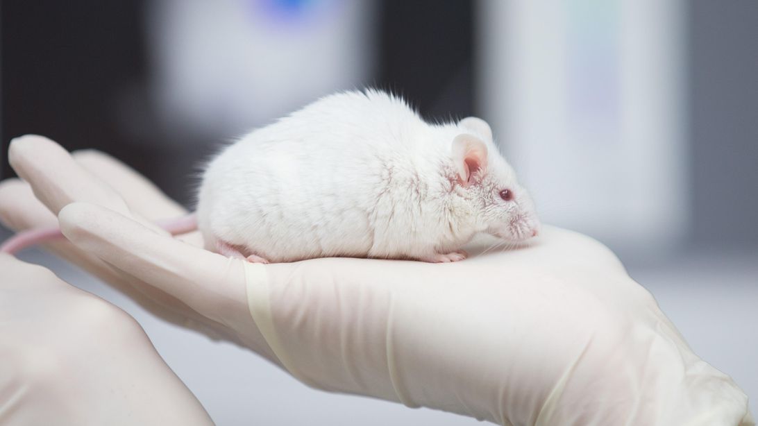 gettyimages-992170702