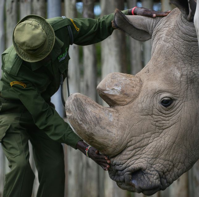 gettyimages-630126234