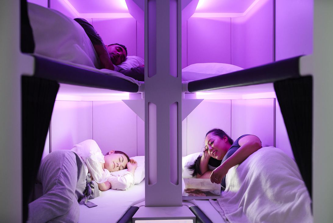 airnz-skynest