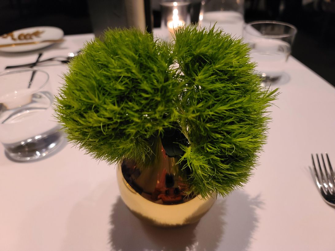 galaxys20ultra-table-plant-standard