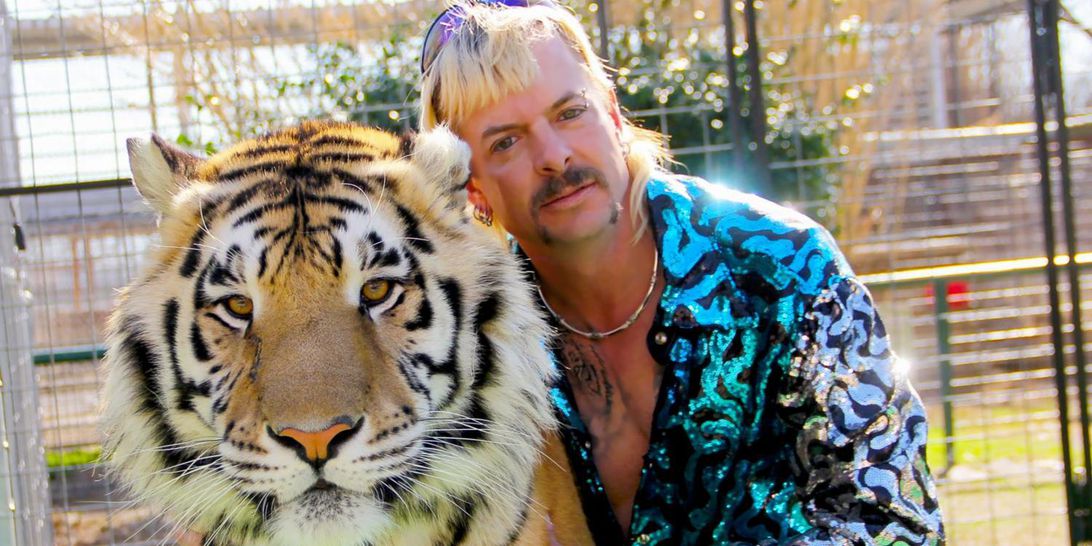twitter-in-stream-wide-tiger-king-netflix-1