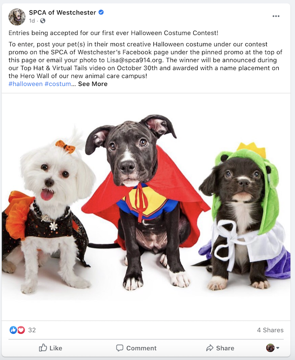 october marketing ideas costume contest