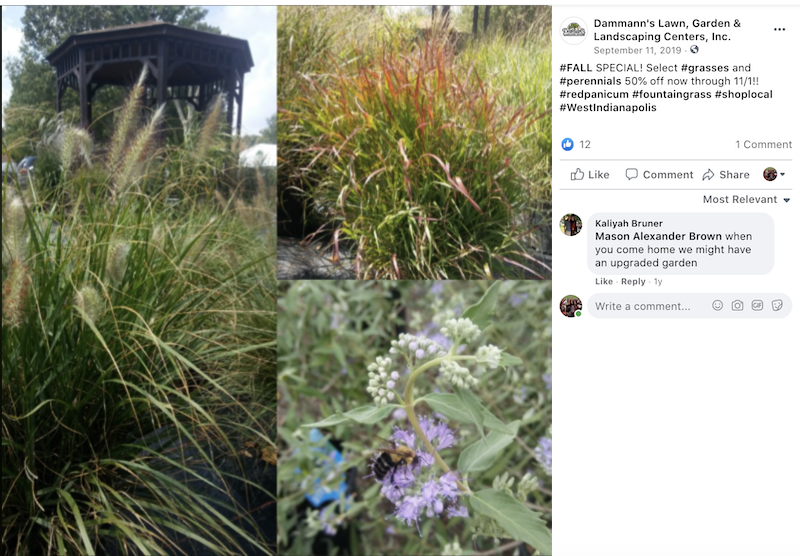 october marketing ideas landscaping special