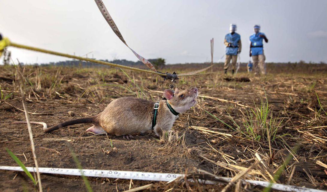 img-0558-zac-rope-01s