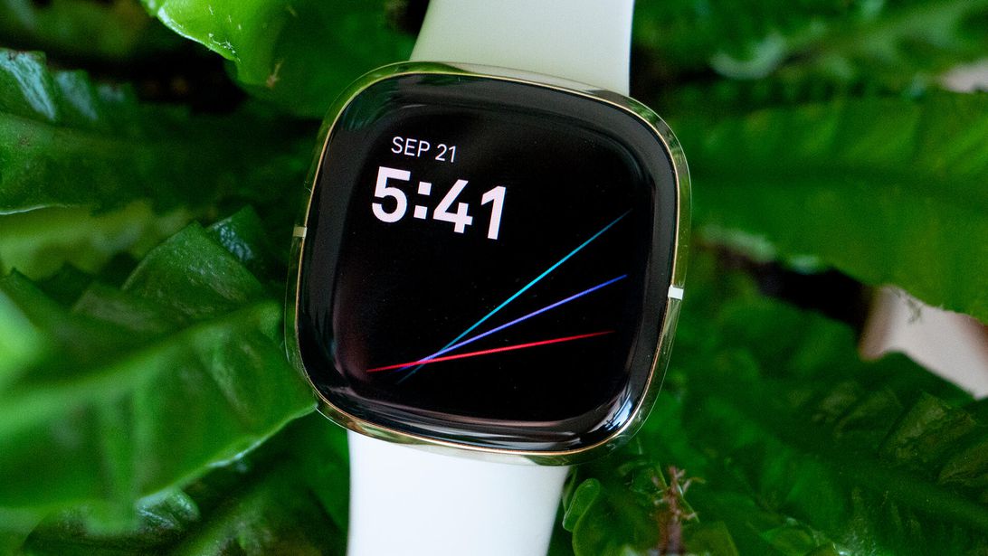 fitbit-gg-bridge