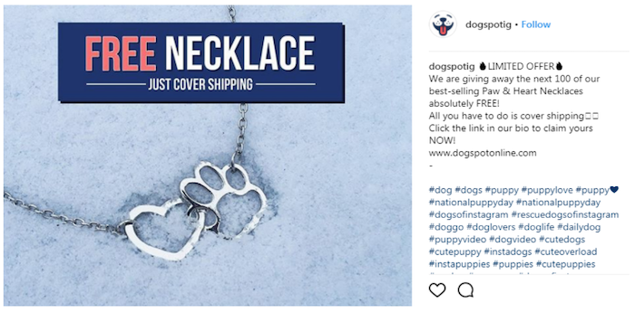 March marketing ideas puppy necklace
