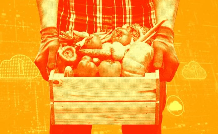 IoT_Could_Halve_Food_Wastage_Before_the_End_of_the_Decade food waste, IoT, supply chain